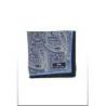 The Paisley Handkerchief