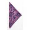The Paisley Handkerchief