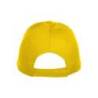 Texas Cap
